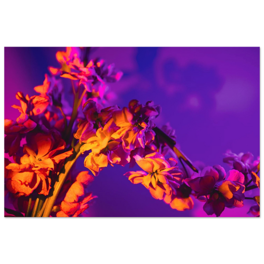 28125333-1247-4ef7-9480-4485d694b801