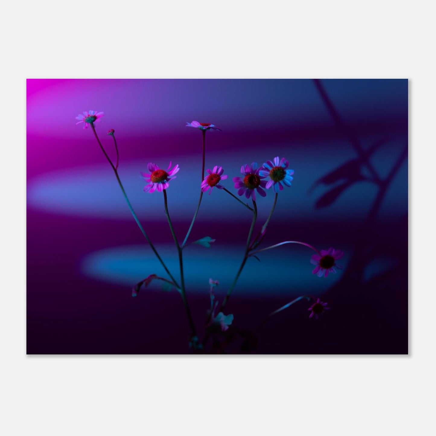 77a069f4-dcc0-4fd5-b035-b7f5762ad781