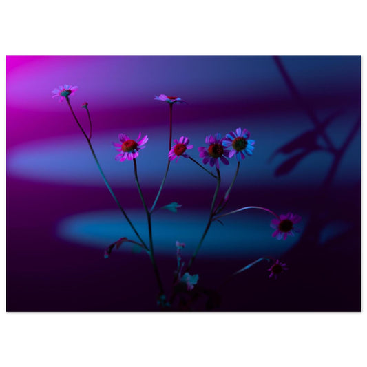 82ac1586-9d60-4007-b8da-d7547172a2af