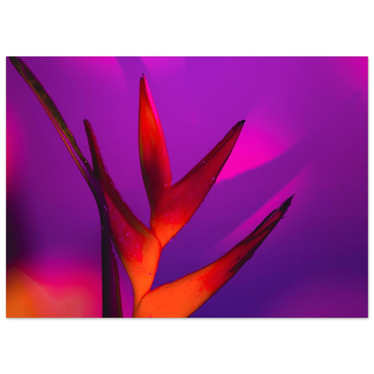 b799c657-6662-45d9-b2a1-970244101a12