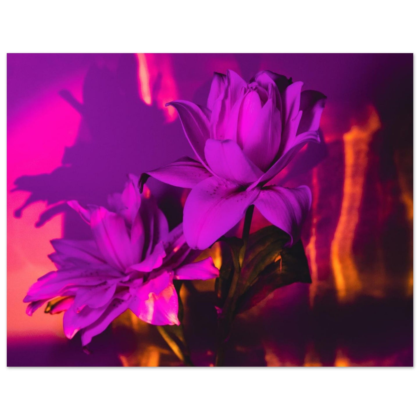 09721d8c-f781-4580-8372-f5b41c574b8e