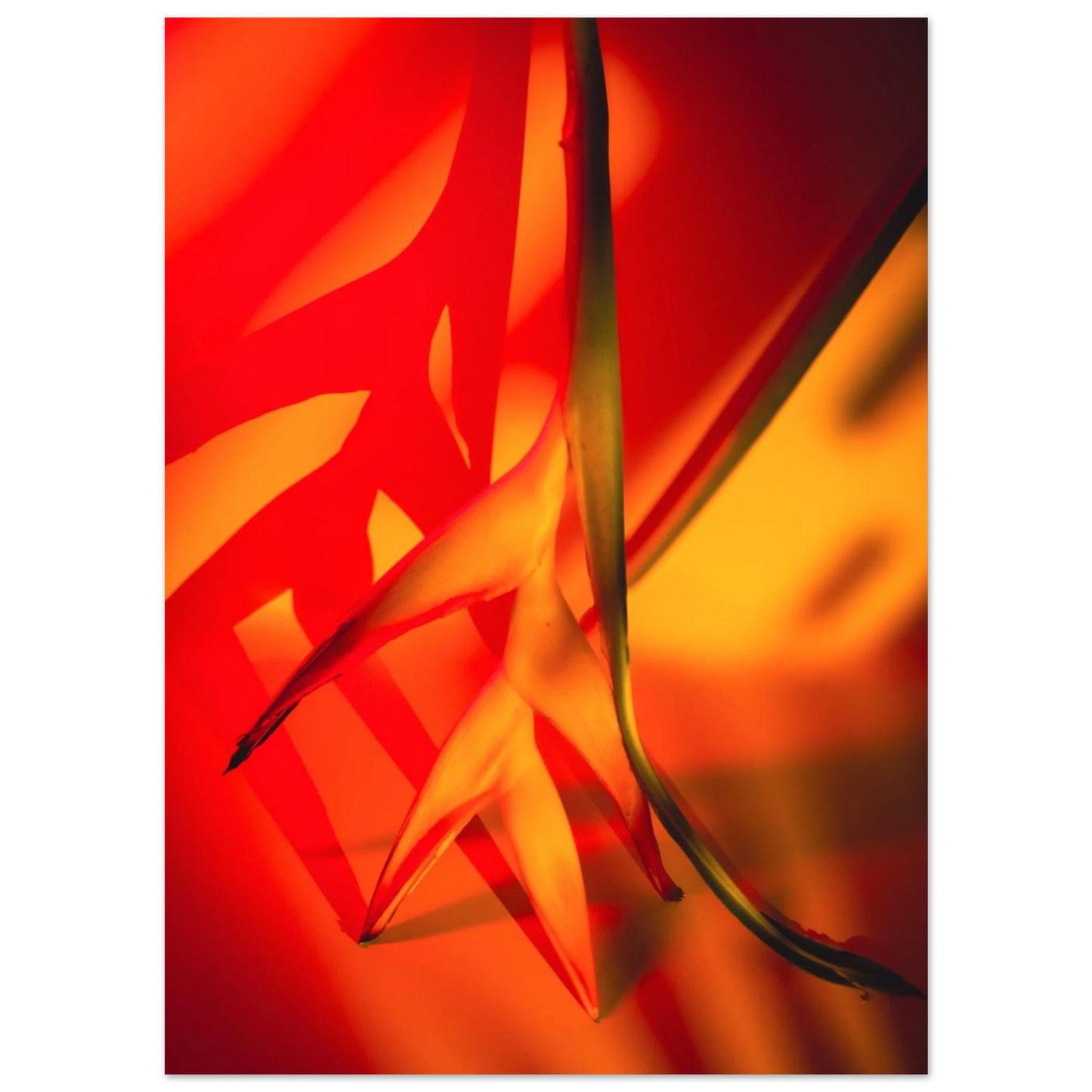 0b1cfdd6-1018-49e5-9b0d-31087e7eee3c