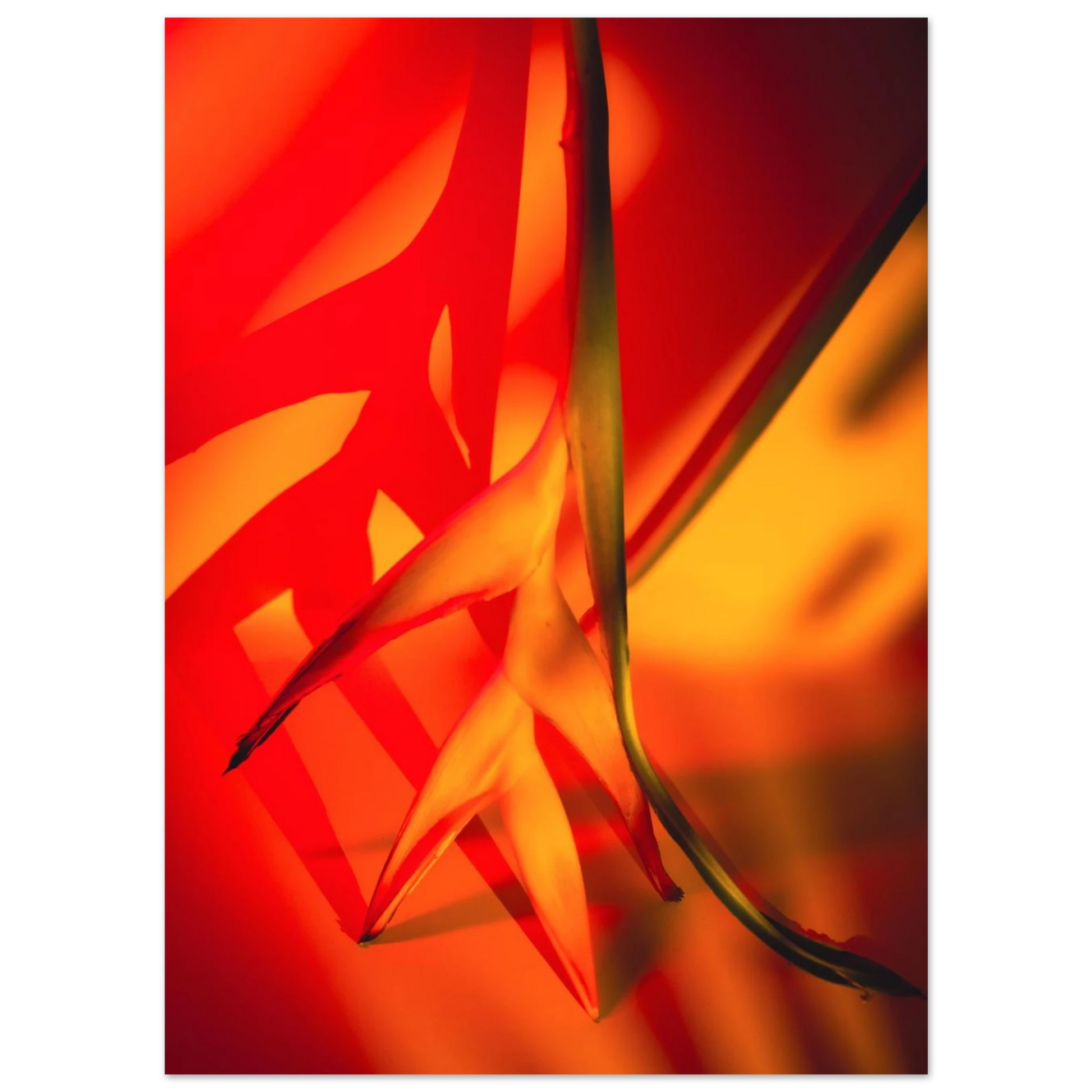 0b1cfdd6-1018-49e5-9b0d-31087e7eee3c