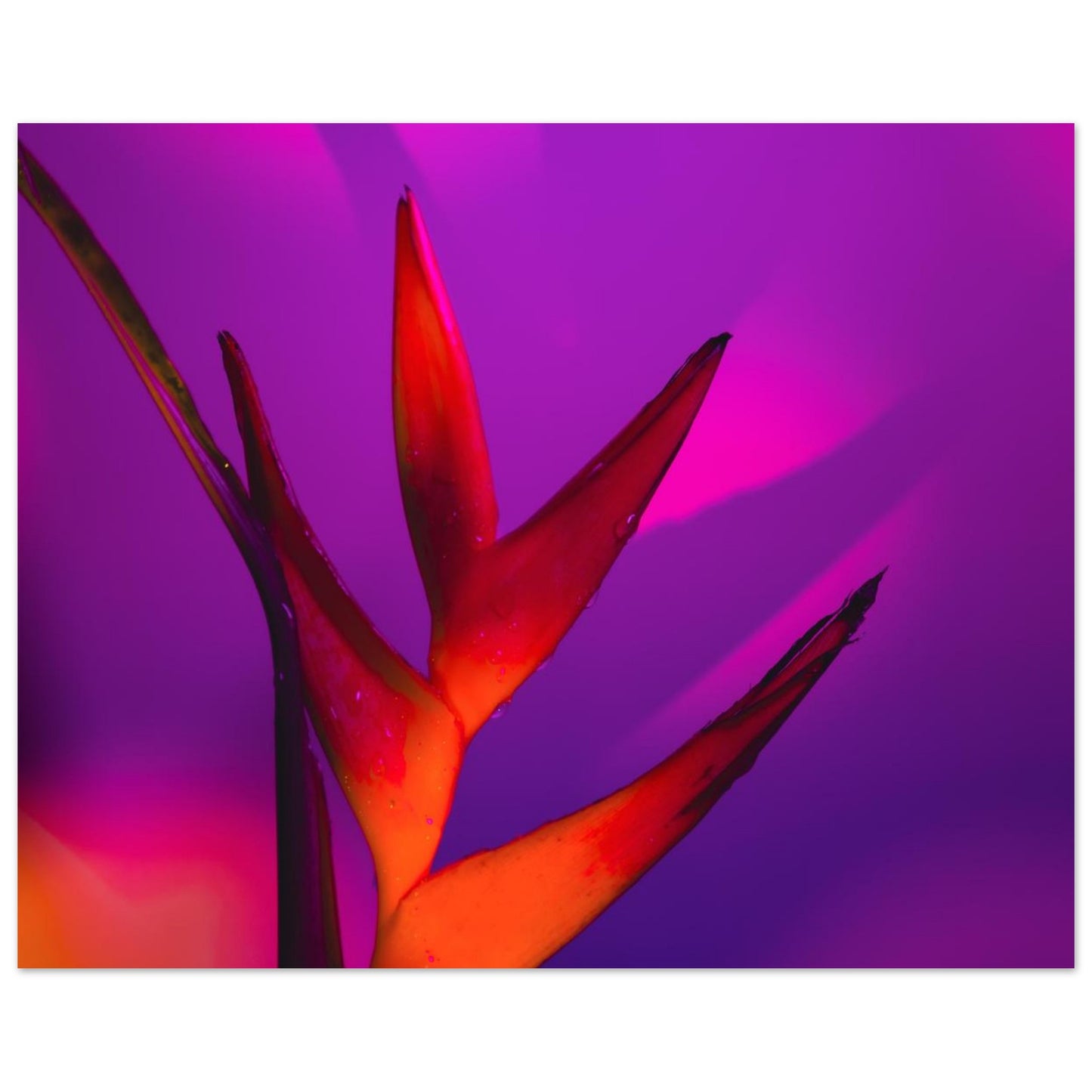 22be9a2e-27a7-49fb-80ef-96016e5f2185