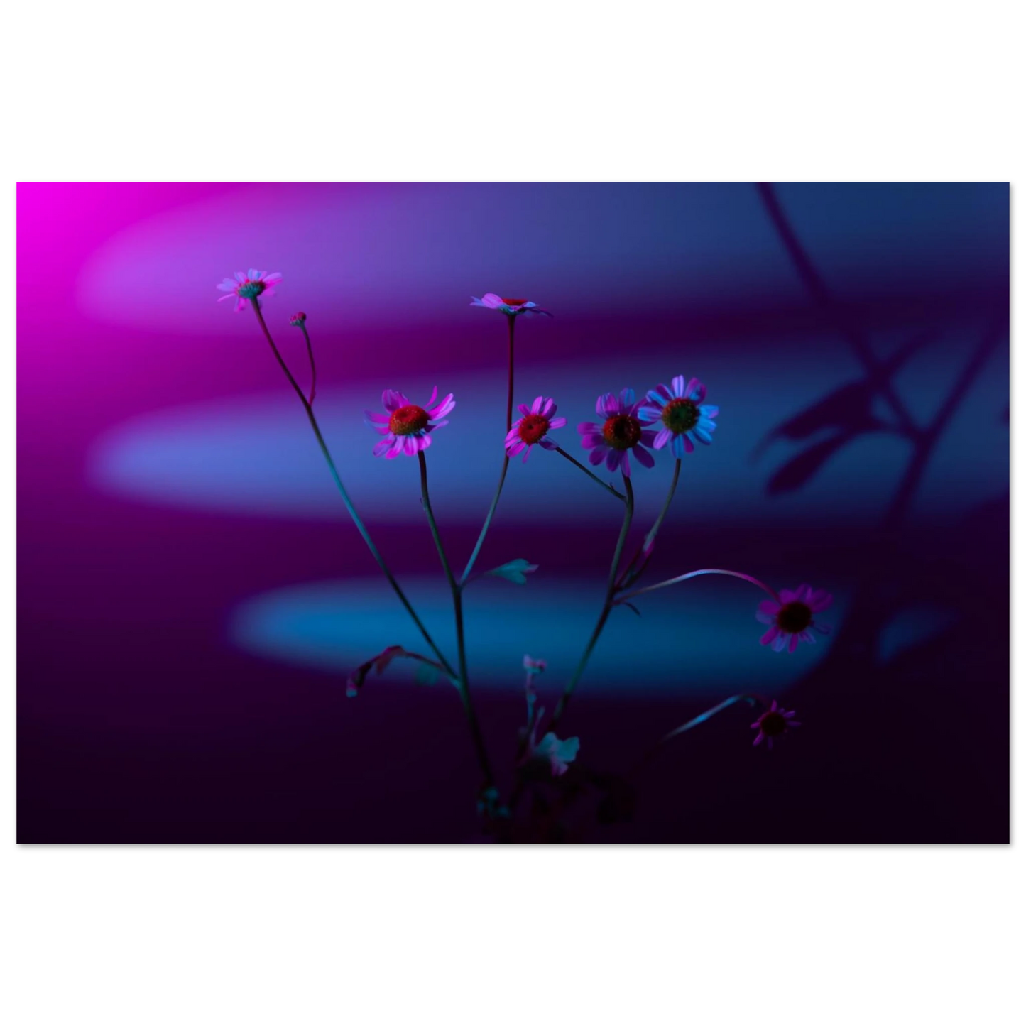 274169a1-c983-4386-b181-61913a76c428