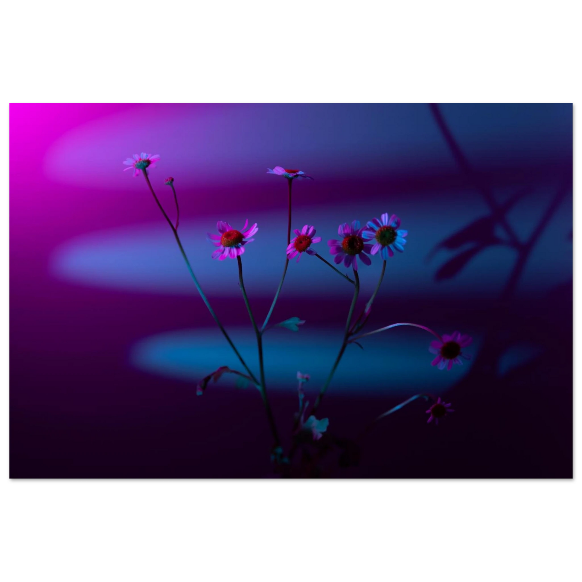 274169a1-c983-4386-b181-61913a76c428