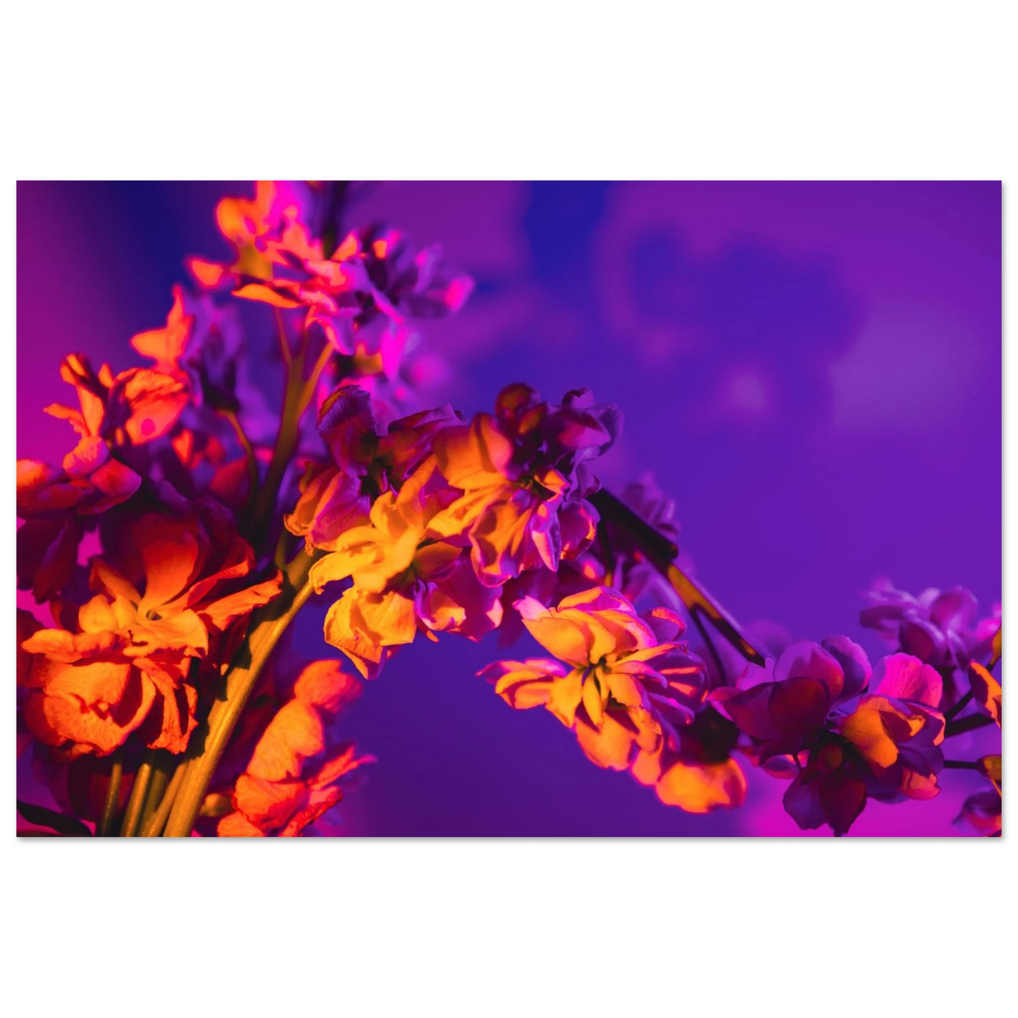 28125333-1247-4ef7-9480-4485d694b801