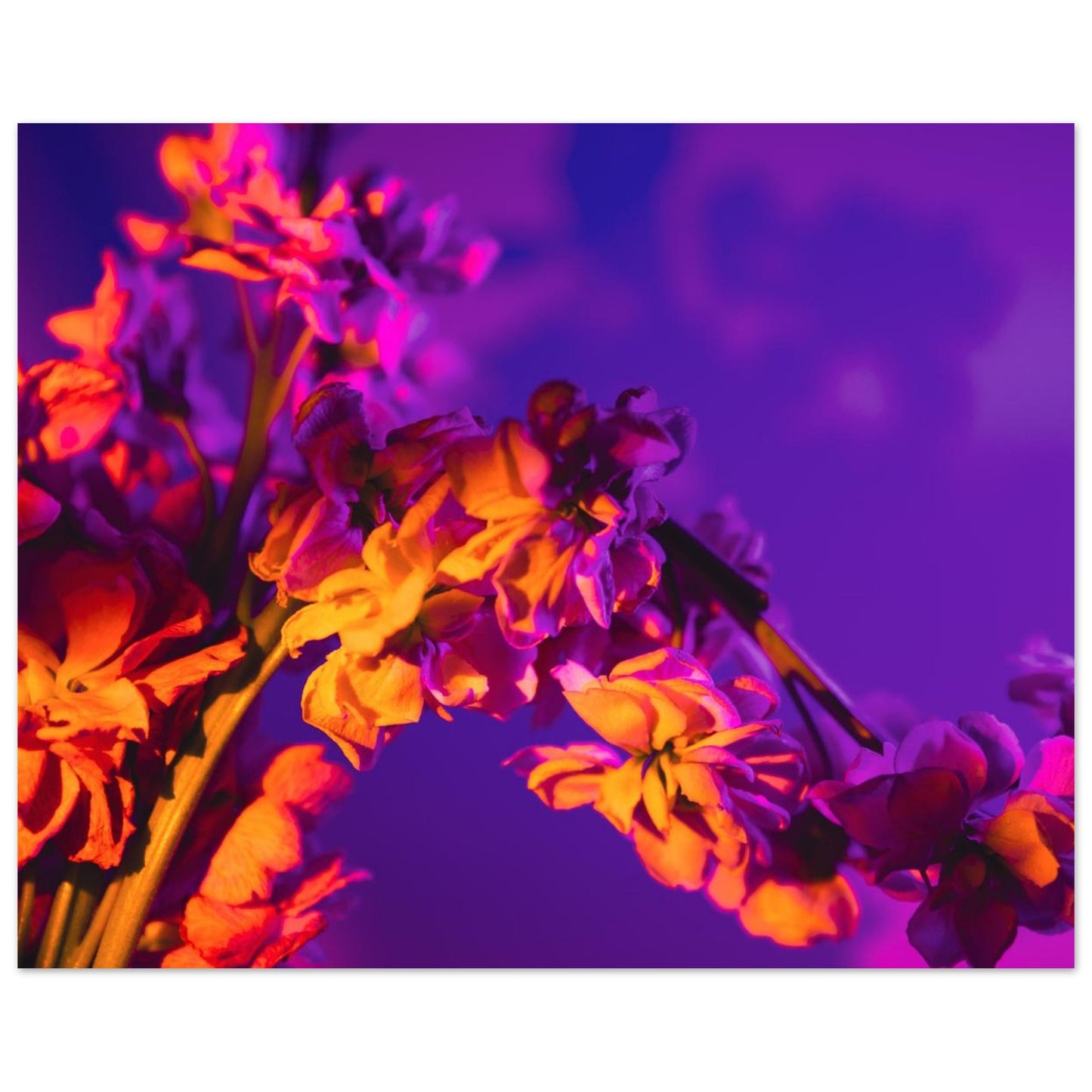 30b06f3c-8c2b-4b15-bef1-e3b351cbd1d4