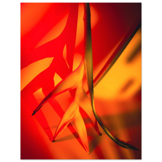 4ba6b0ec-8e1f-4b72-9197-e3cdcb54c911