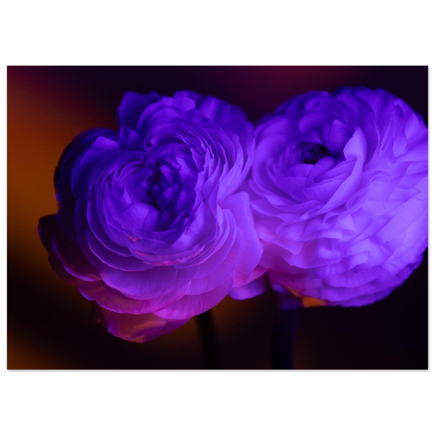 4f8bd854-c376-4a70-9f0c-43301dfb647e