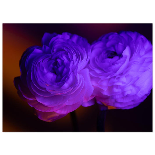 4f8bd854-c376-4a70-9f0c-43301dfb647e