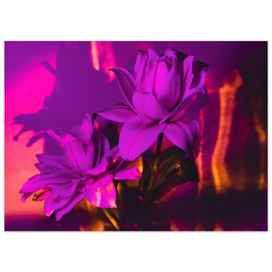 65ab0c88-65d6-43ab-ada2-44bcb9cdbb0a