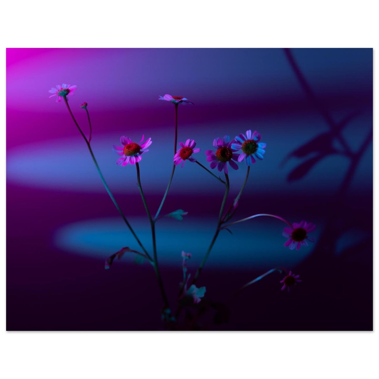 67eabd0a-b850-4fa2-8d5a-157329eb736d