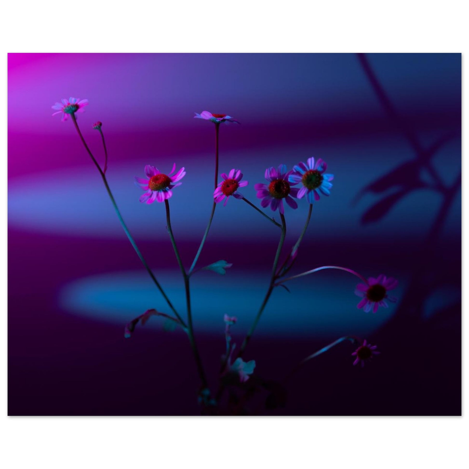 70076110-27d5-4372-bcb9-4893a6fe274e