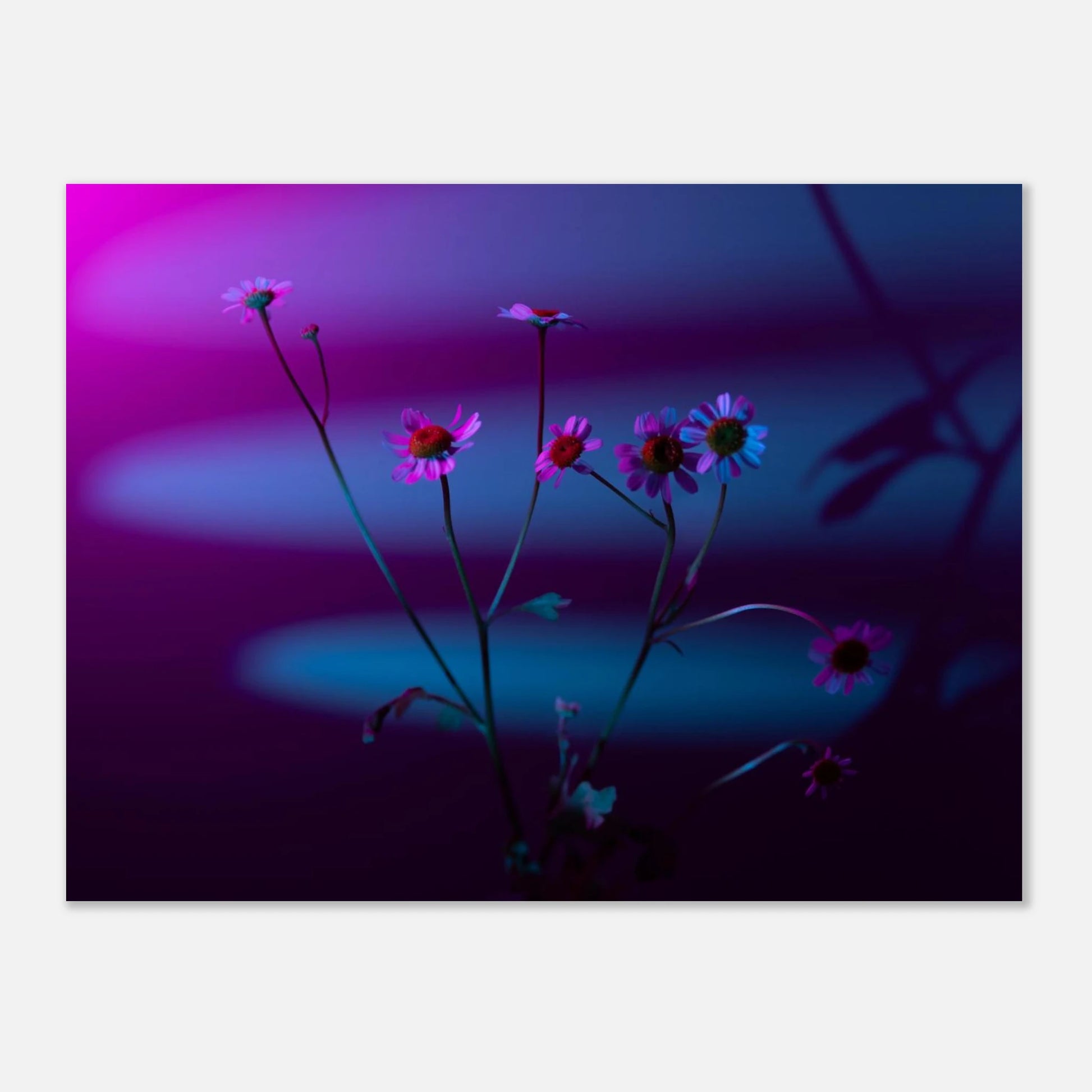 73086e8a-60d3-4830-9c7c-ebf216c7bcde