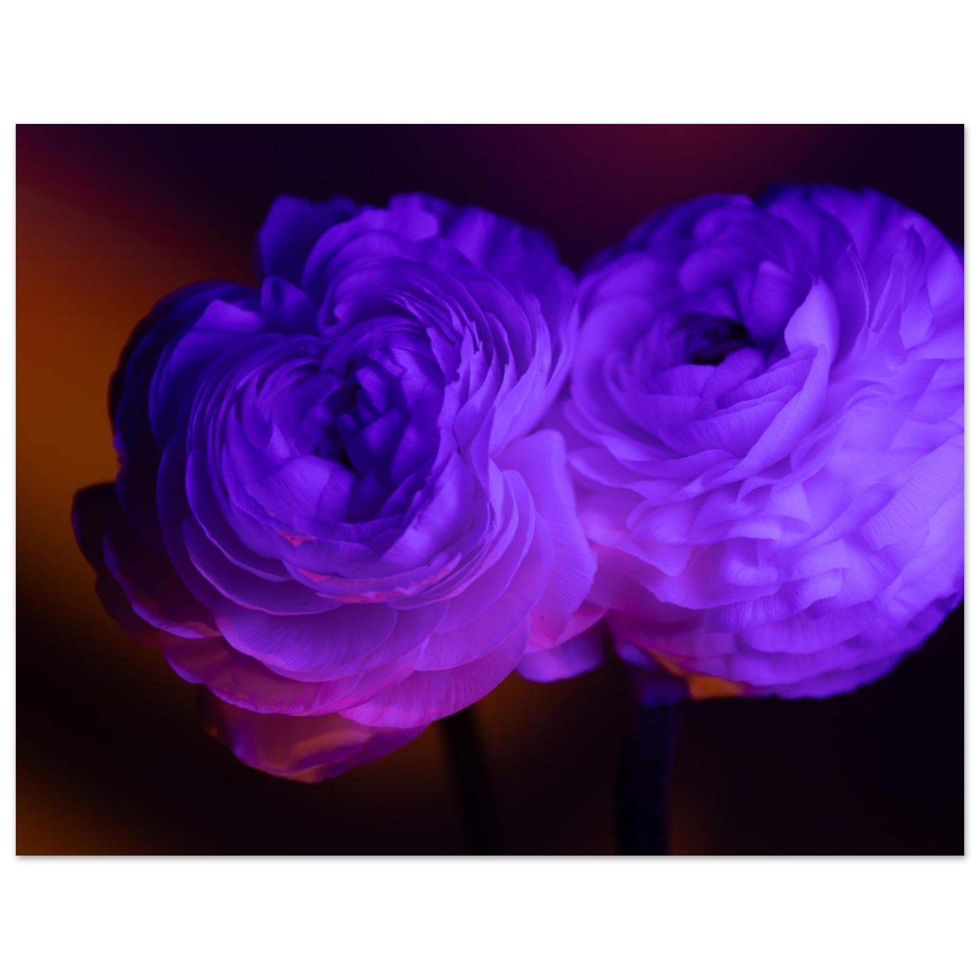 7b468516-297e-4da2-8ad4-77378dd5f984