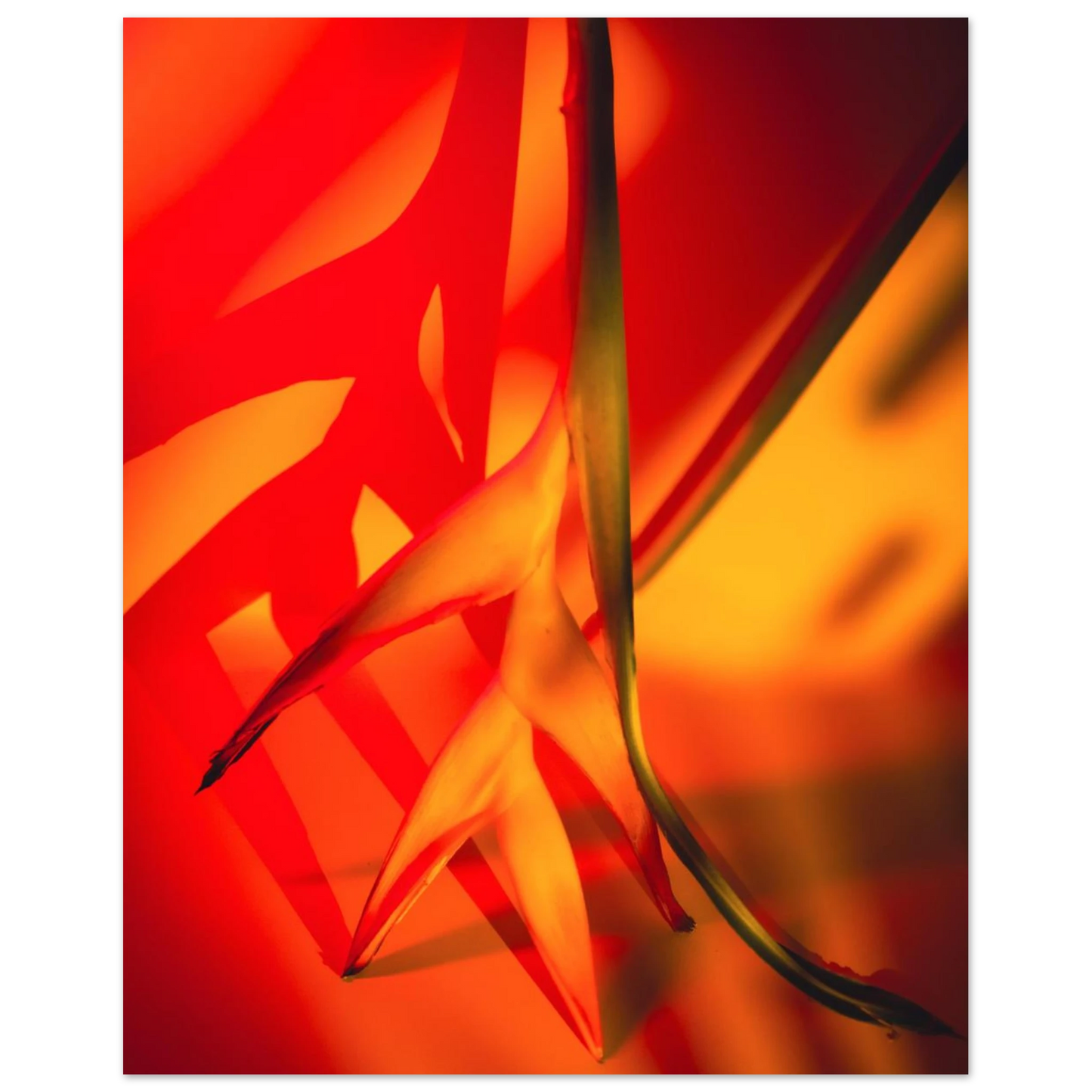 8eb7b42b-0f40-4f30-a7a8-0eb9081d68c2