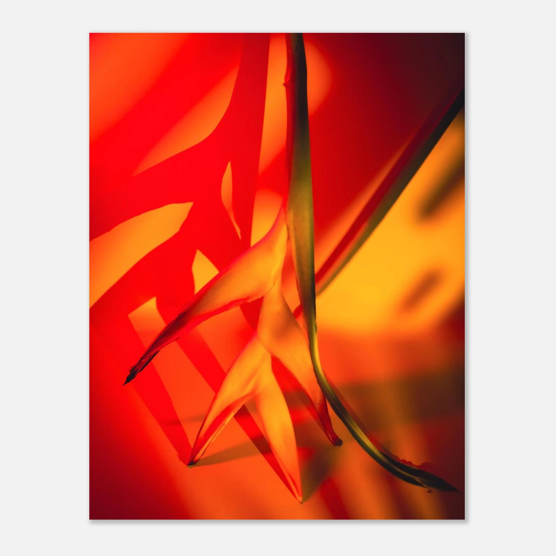 9a46c7f9-f5ad-4f84-b10e-cba0fba17d28