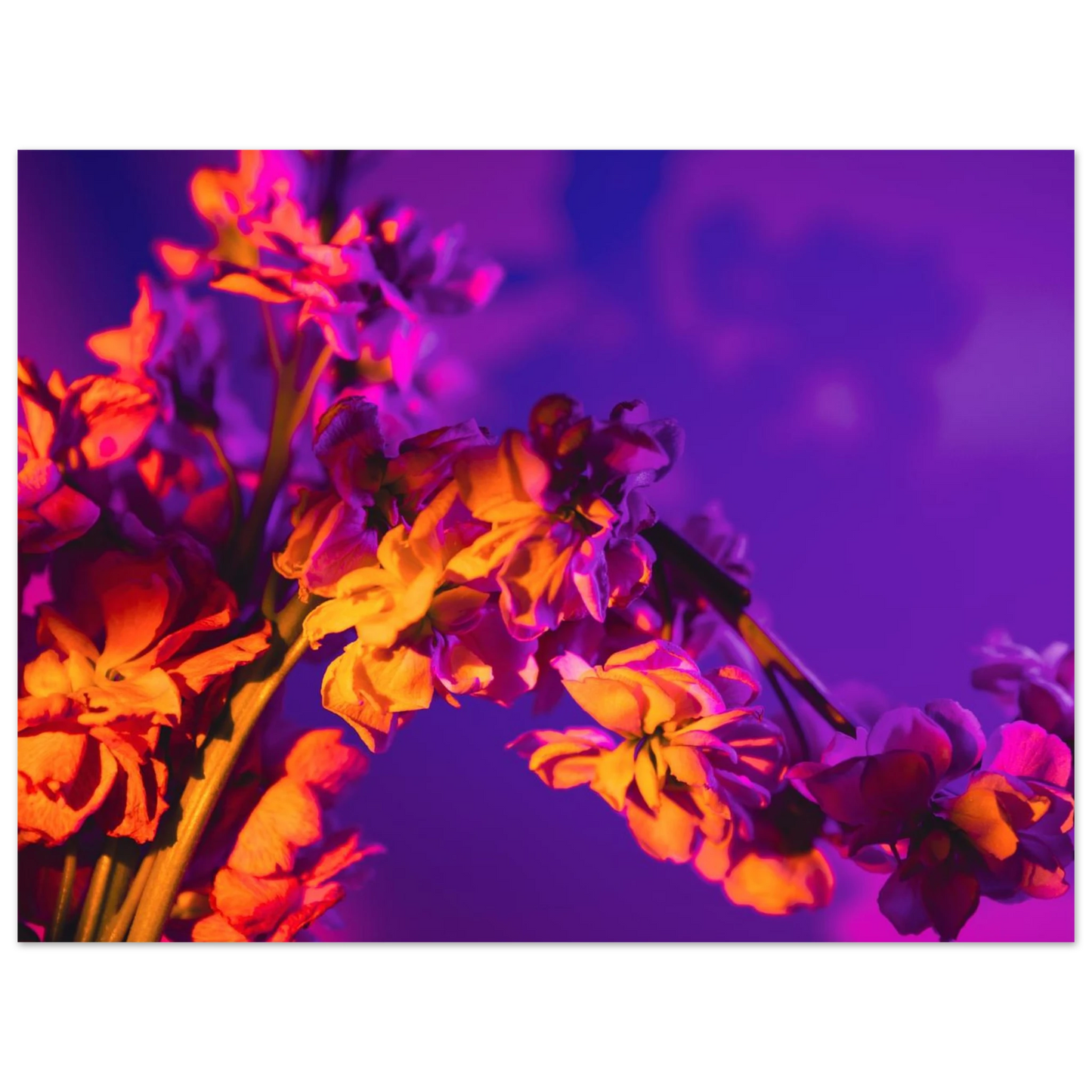 a3ac1c45-585a-4945-92f3-39829967b9ee