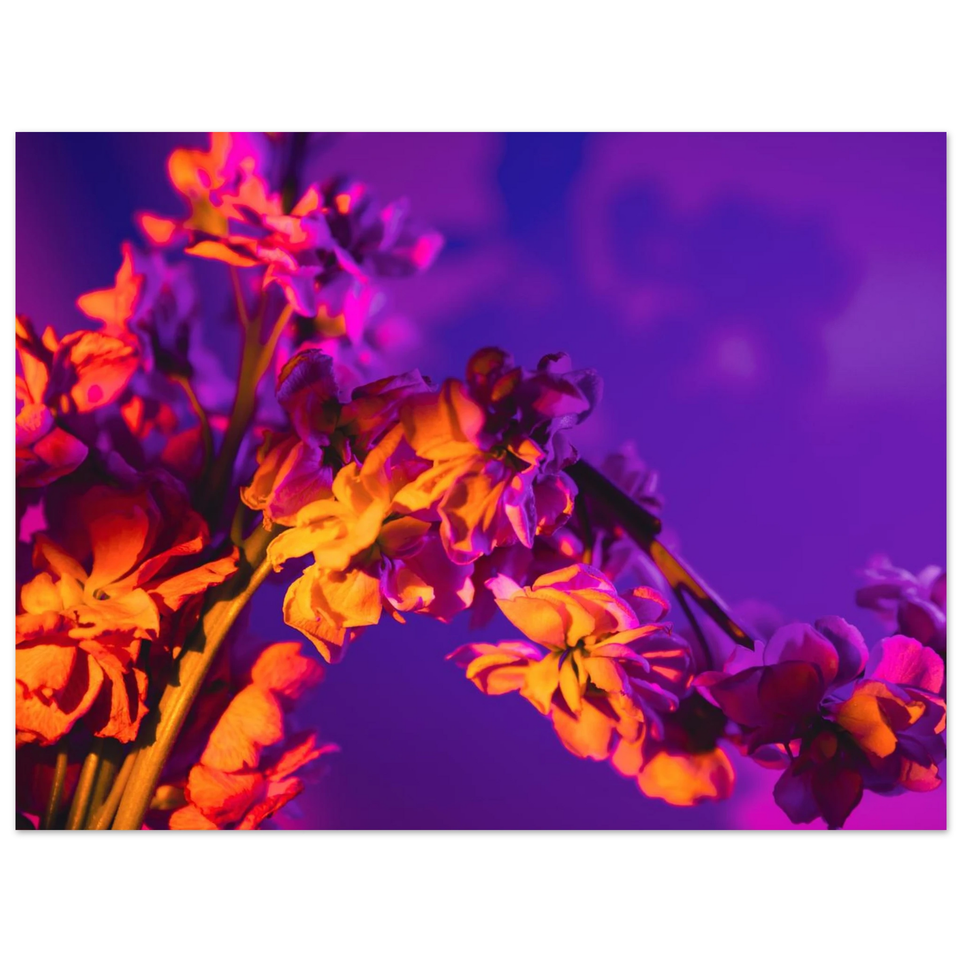 a3ac1c45-585a-4945-92f3-39829967b9ee