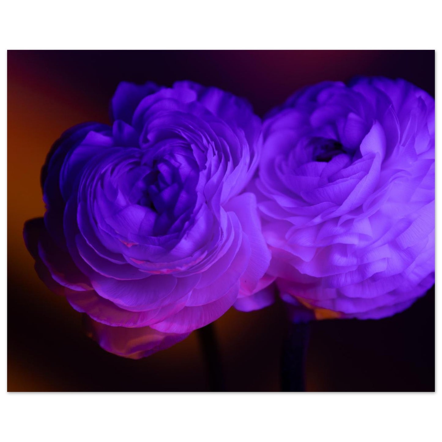 a99e22fc-1265-4341-b373-4093484a5d5f