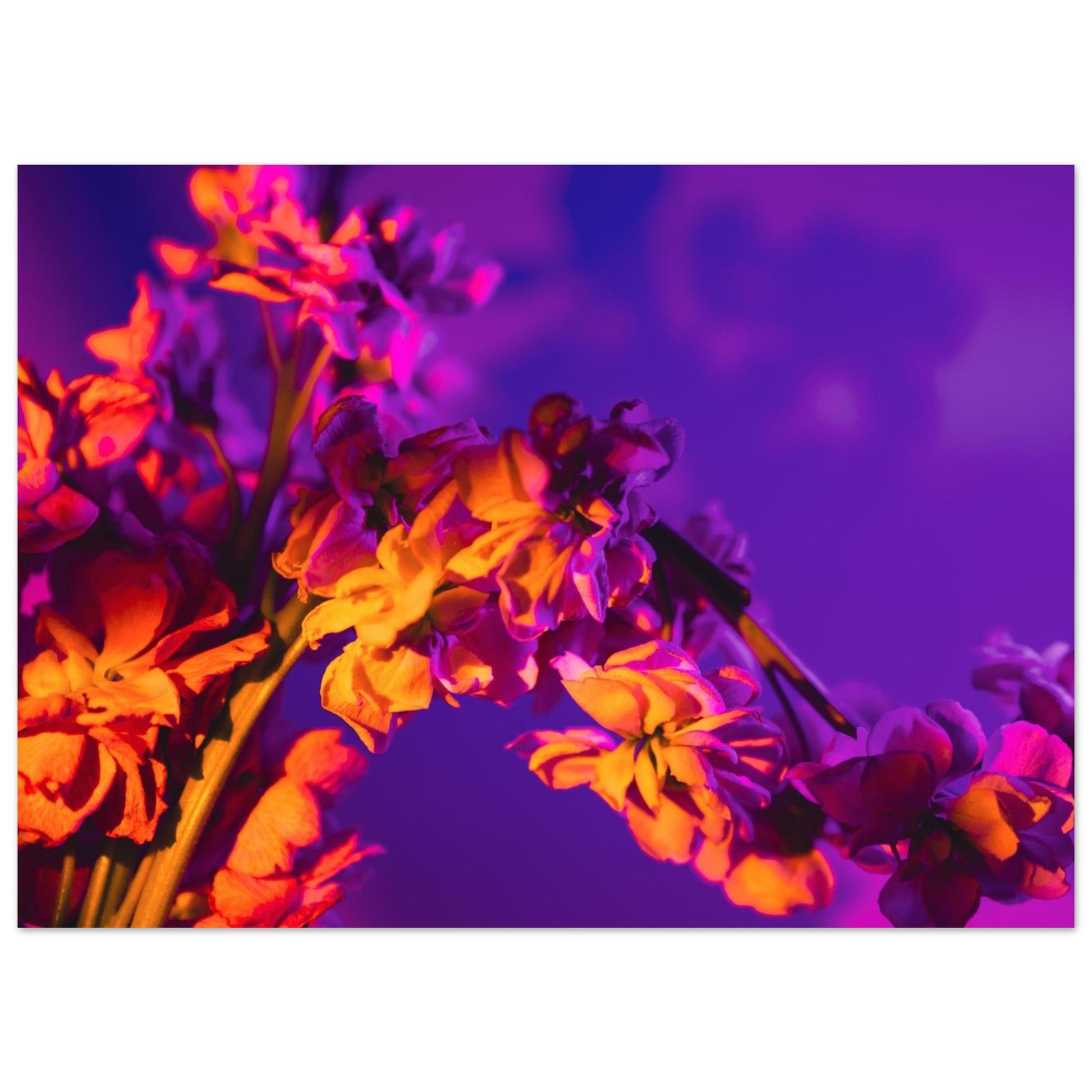 b8c2b68b-cc28-4d59-a374-f7240a6d9bbb