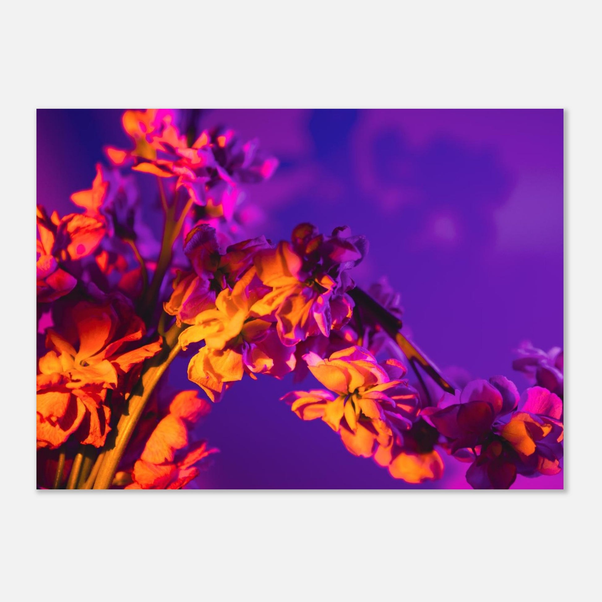 cc2cce46-78a3-44ab-8e4e-38db50bb78aa