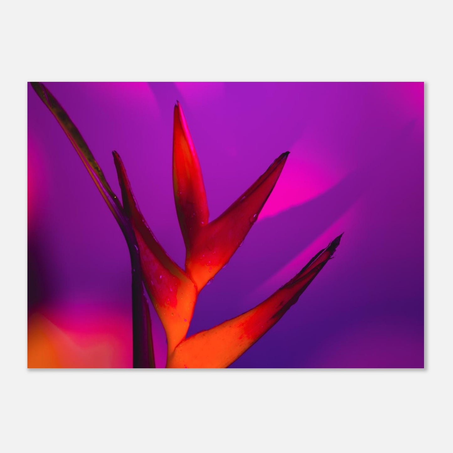 d95a9a30-9c7c-4c04-94c9-497bfaa7fdb0